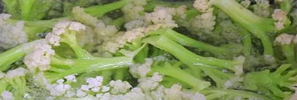 焯煮、油炸設備